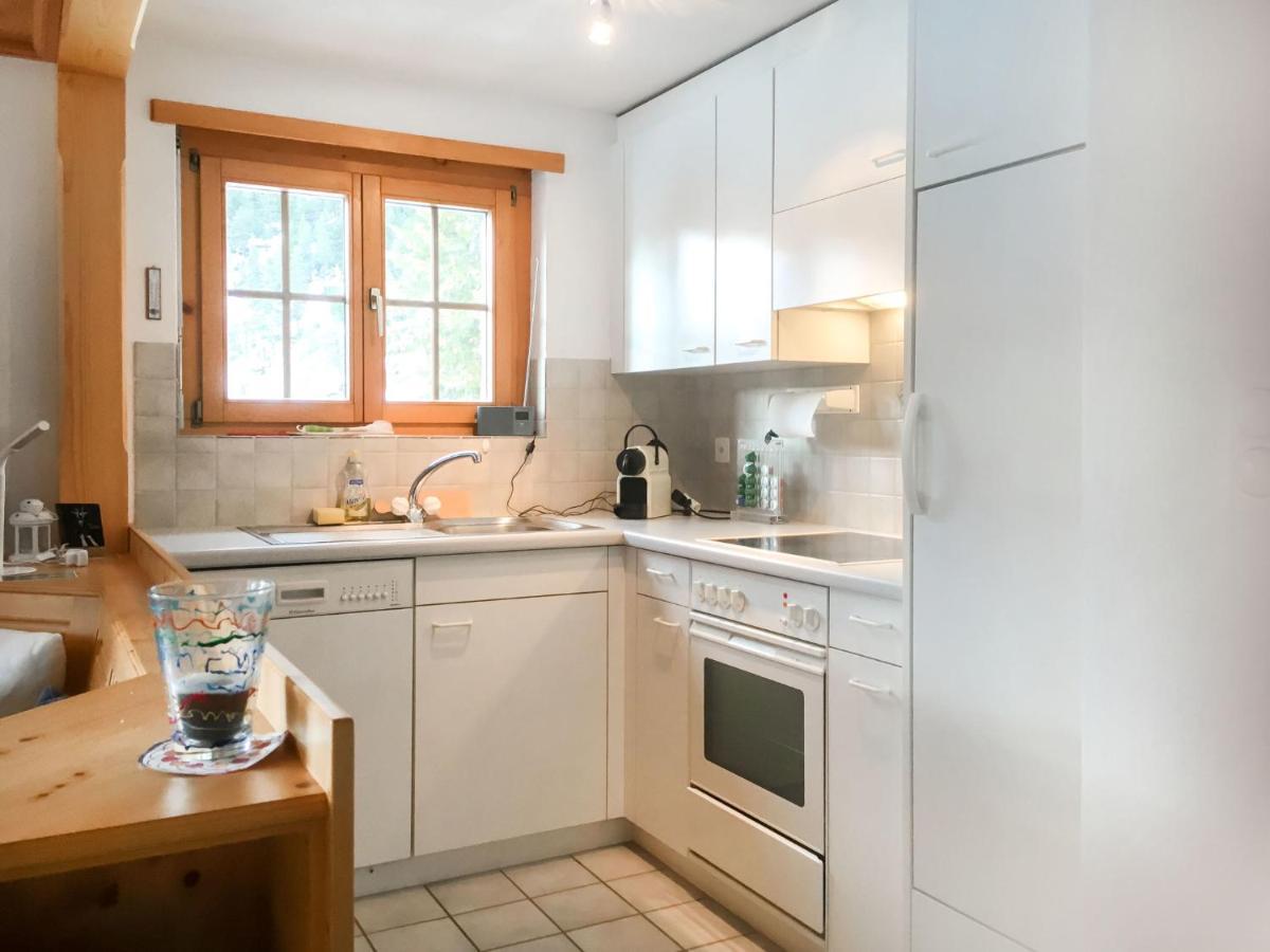 Apartment Haus Lotti Apt 203 By Interhome Schmitten  Екстериор снимка